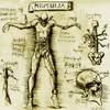 Planche anatomique reprsentant un Nephilim