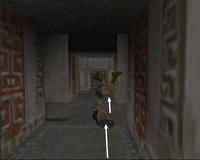 Tomb Raider 1 : Cit de Vilcabamba