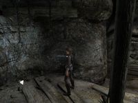 Tomb Raider Underworld : Protg par les morts