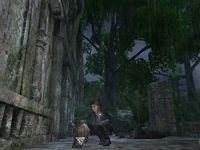 Tomb Raider Underworld : Les jours sans nom