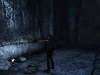 Tomb Raider Underworld : Valhalla